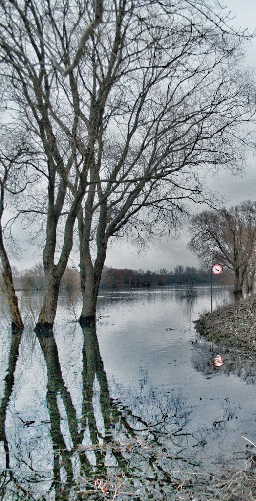 naturlegepladsen-ved-ringstedbanen-1.jpeg