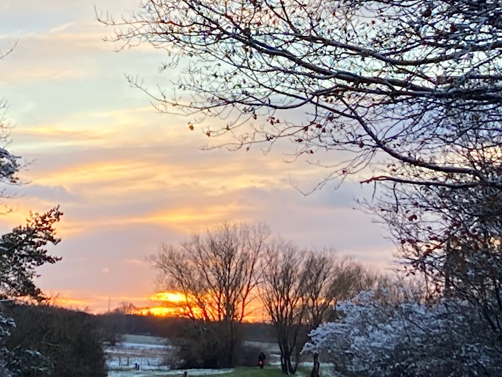 naturlegepladsen-ved-ringstedbanen-3.jpeg