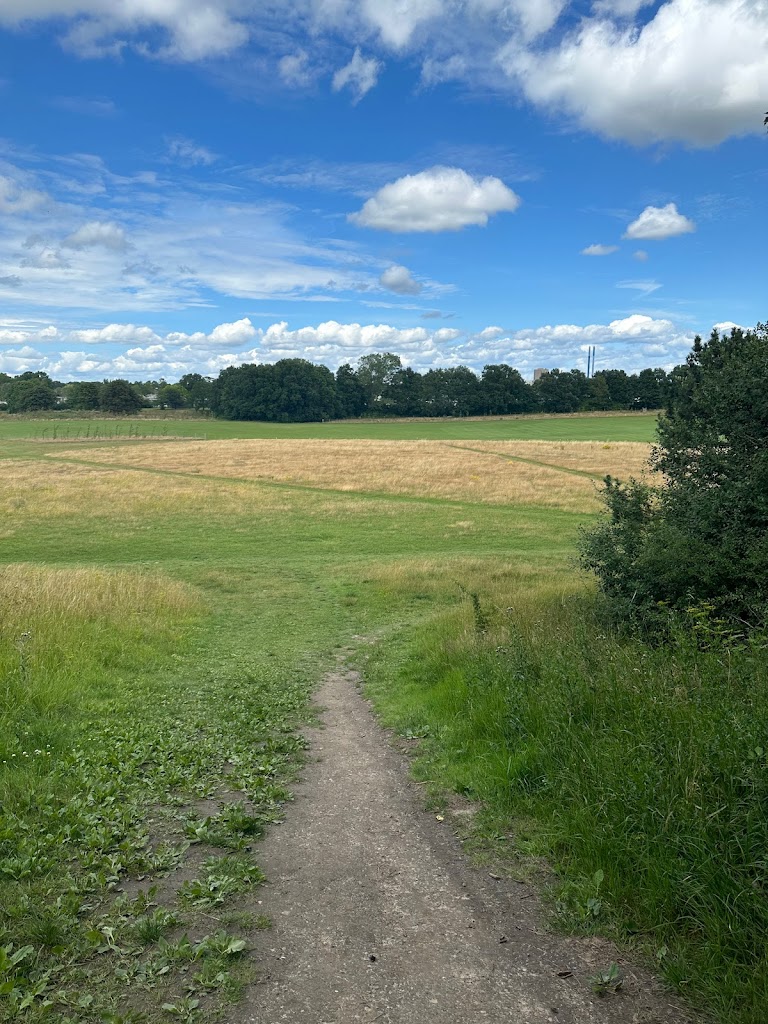 thomas-pa-bjerget-2.jpeg