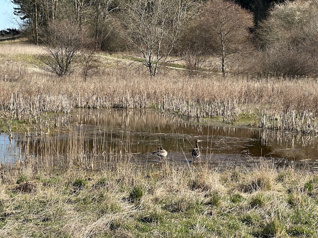 tueholm-so-1.jpeg