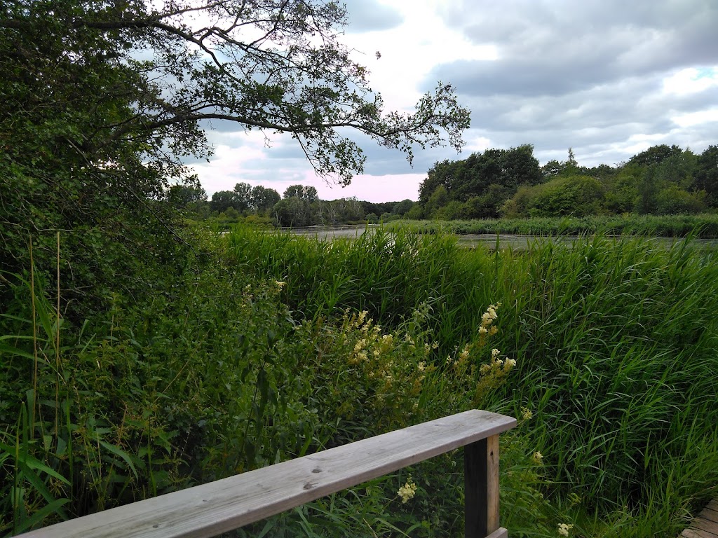 tueholm-so-3.jpeg