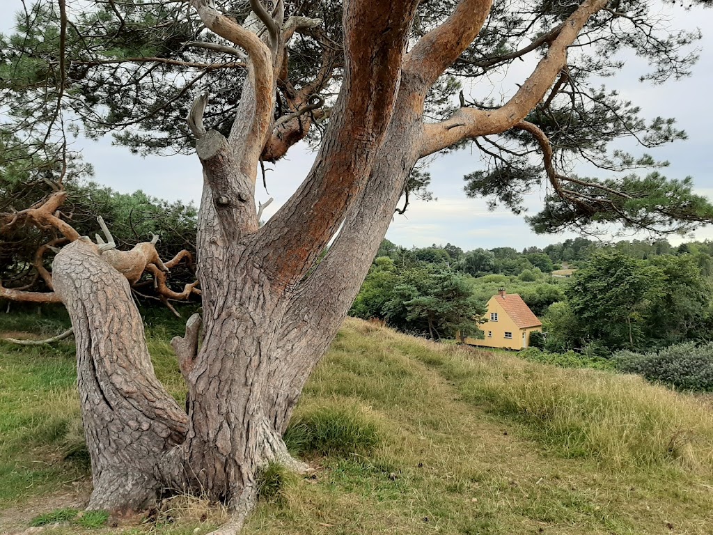 heather-hill-ragelejevej-vejby-7.jpeg