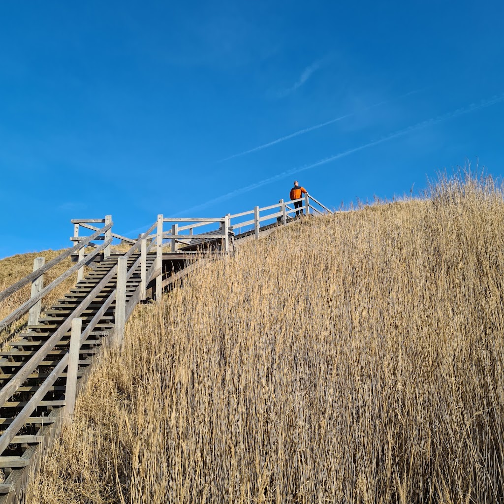 holloselund-strand-parkering-16.jpeg