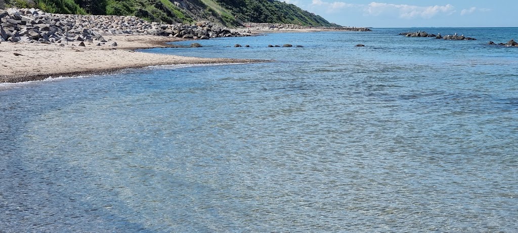 holloselund-strand-parkering-17.jpeg