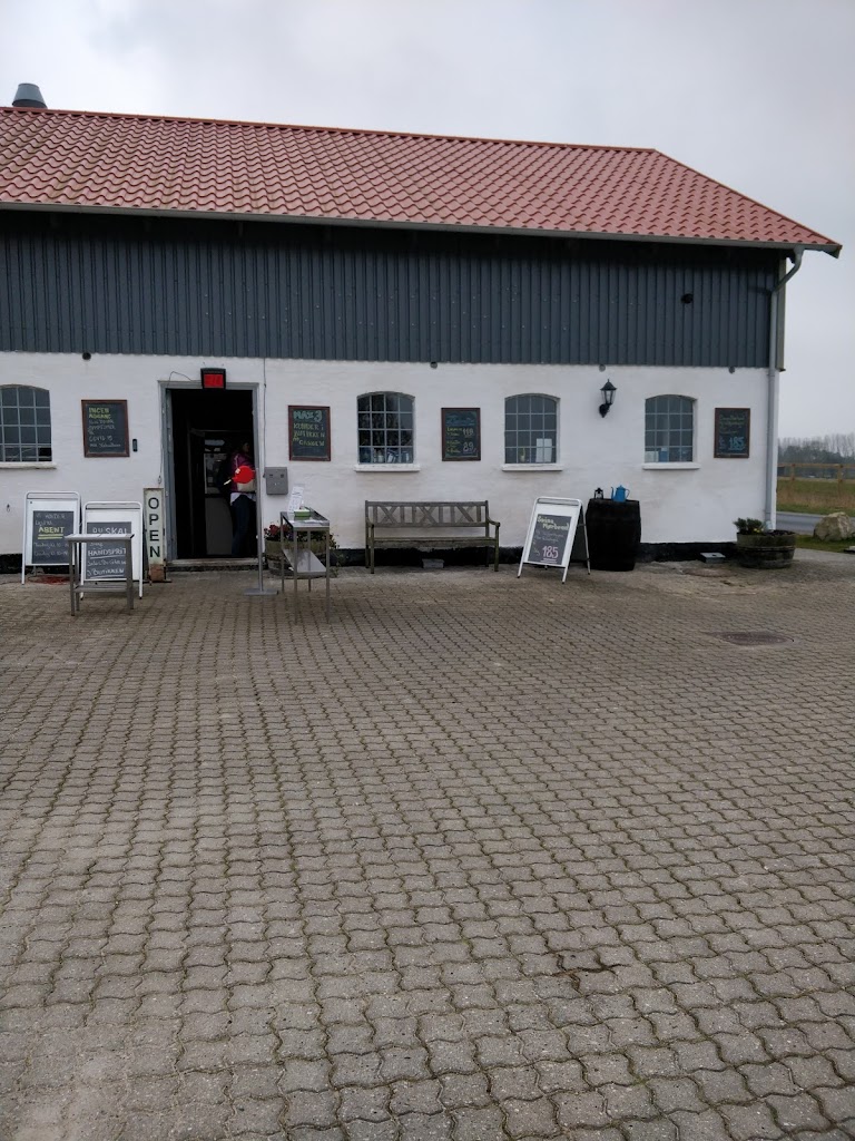 kodsnedkeren-2.jpeg