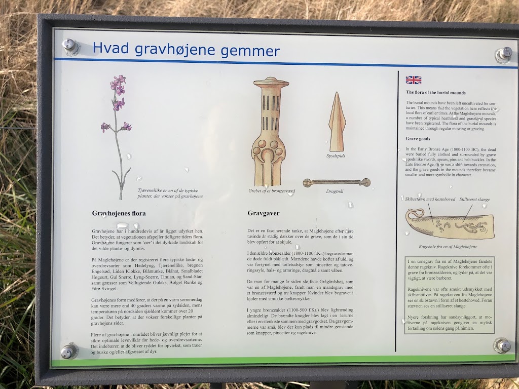 maglehojene-14.jpeg
