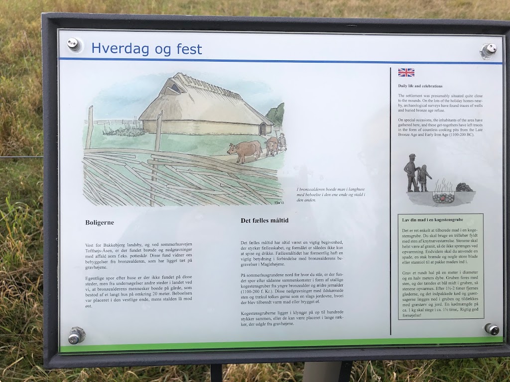maglehojene-7.jpeg