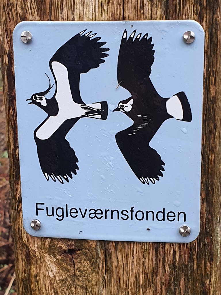 parkering-ved-store-valbyvej-16.jpeg