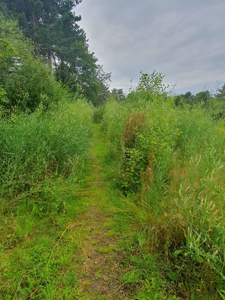 alebaekken-ruinpark-0.jpeg
