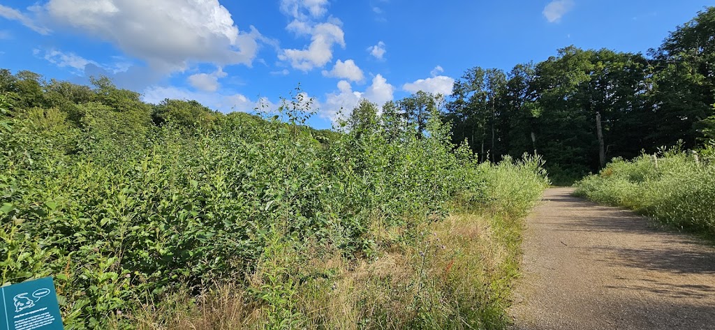 alebaekken-ruinpark-18.jpeg