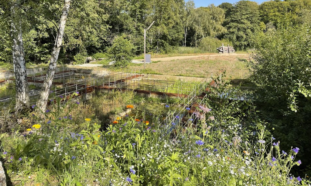 alebaekken-ruinpark-2.jpeg