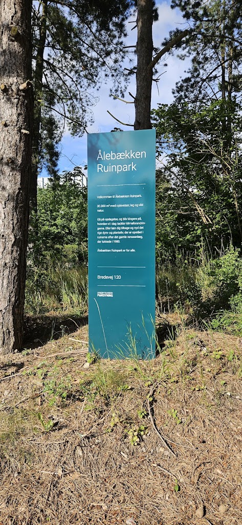 alebaekken-ruinpark-9.jpeg