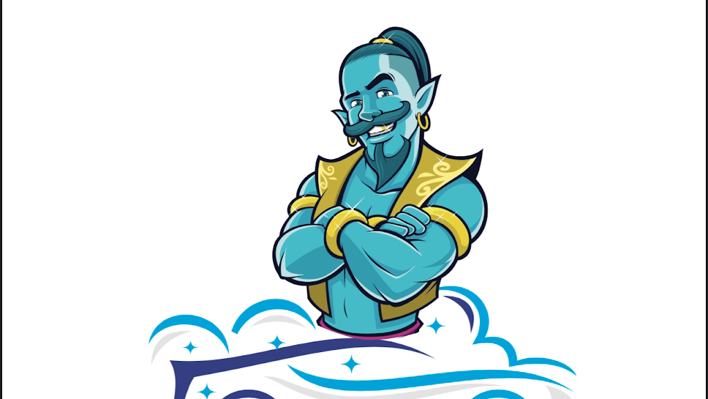 ecogenie-bilvask-2.jpeg