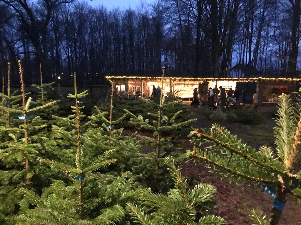julepladsen-ved-frederiksdal-slot-12.jpeg