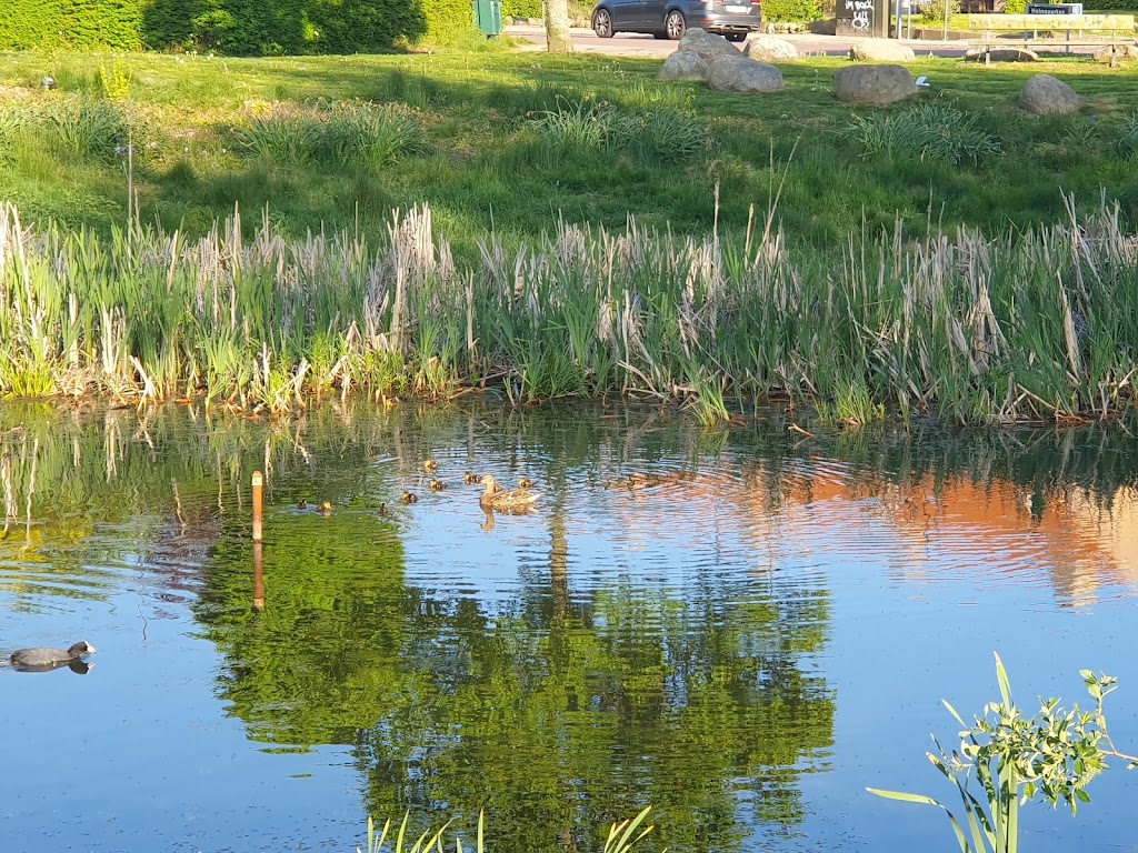 lindevangens-legeplads-1.jpeg