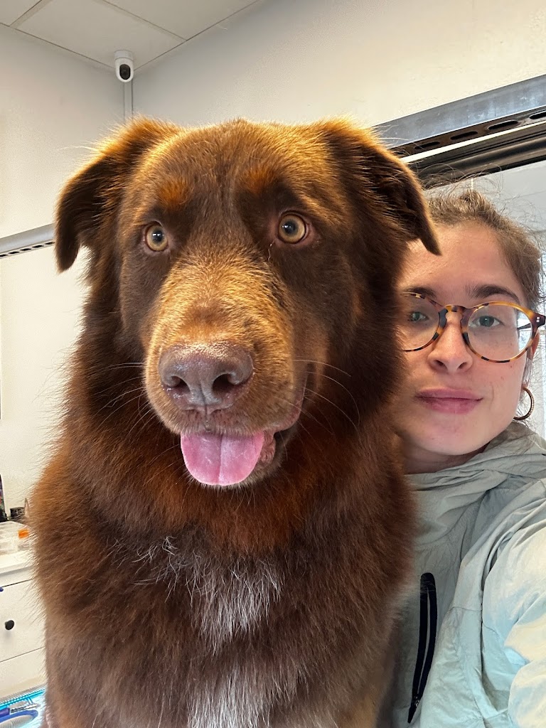 nattys-hundesalon-13.jpeg