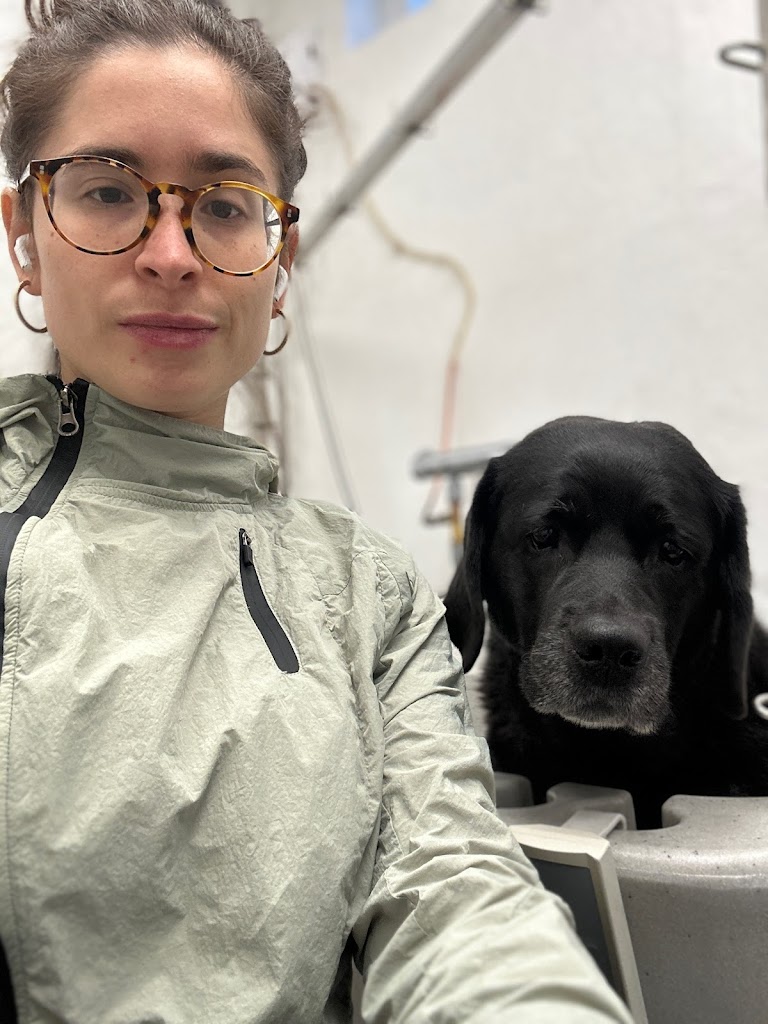 nattys-hundesalon-7.jpeg