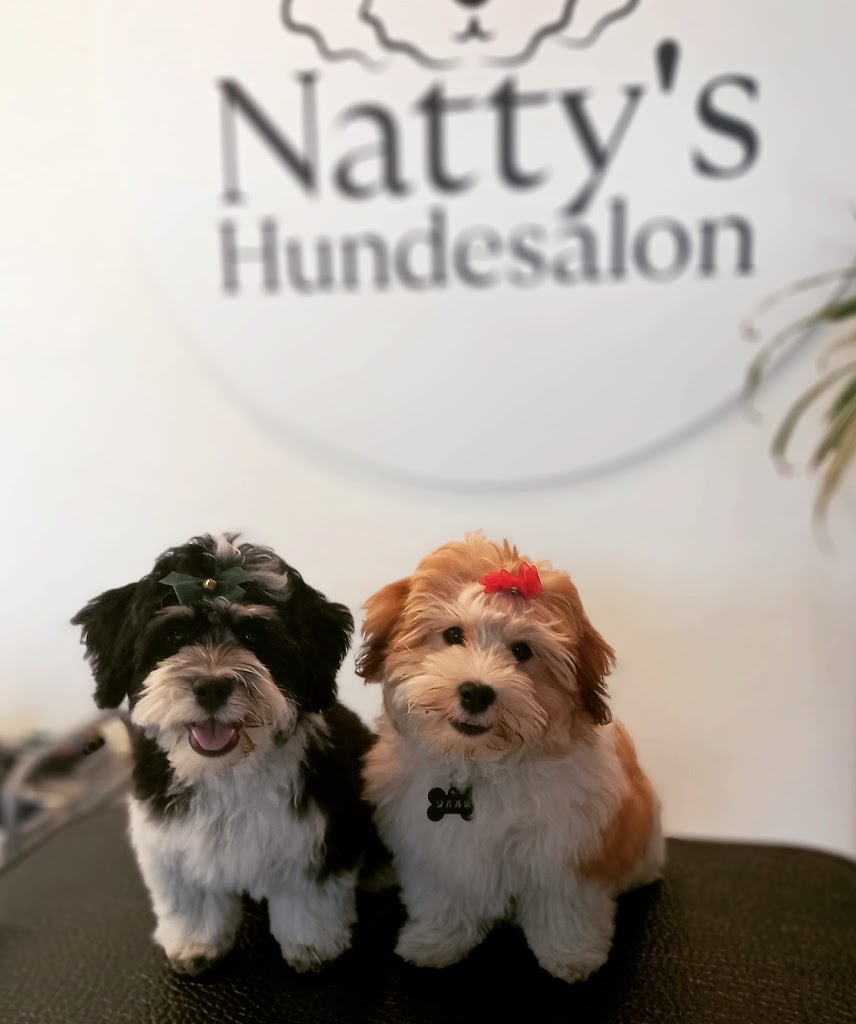 nattys-hundesalon-9.jpeg