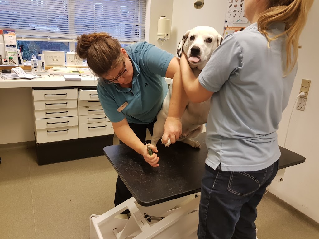 virum-dyreklinik-8.jpeg