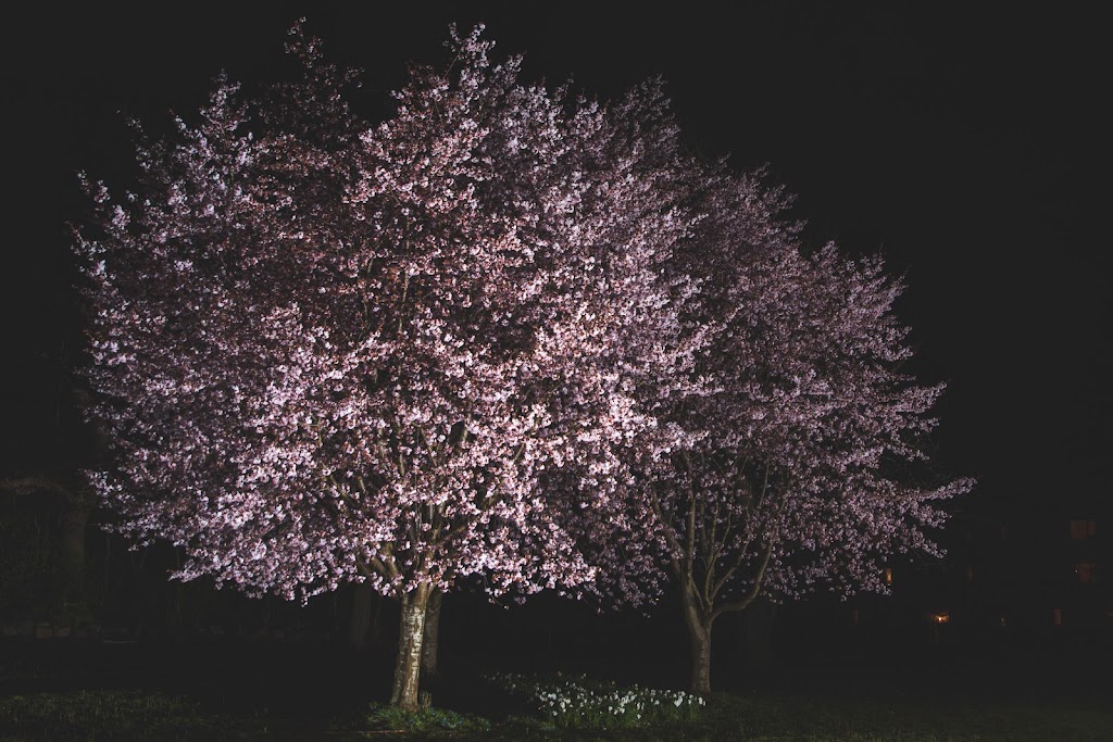 virum-light-festival-0.jpeg