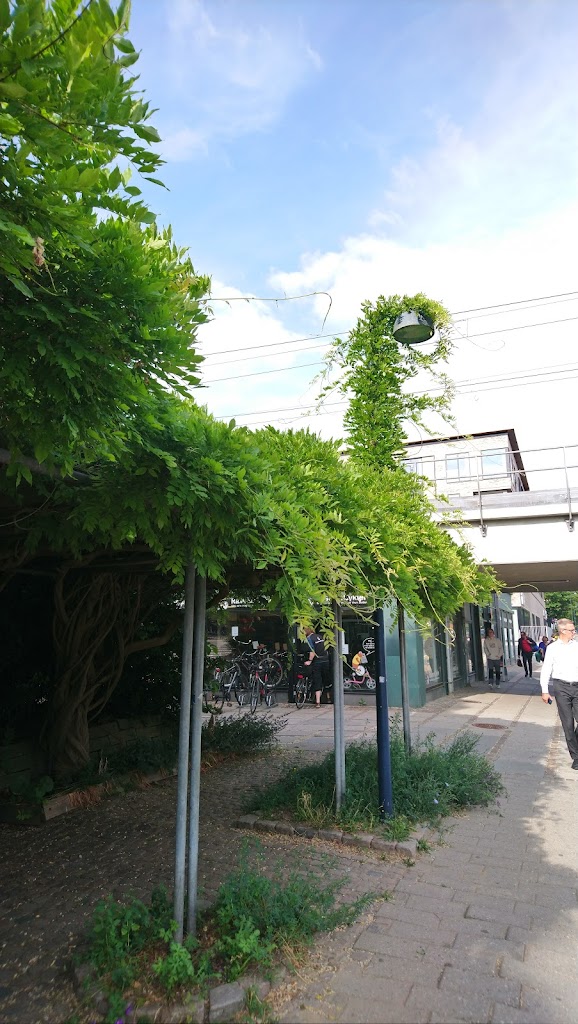 virum-station-0.jpeg