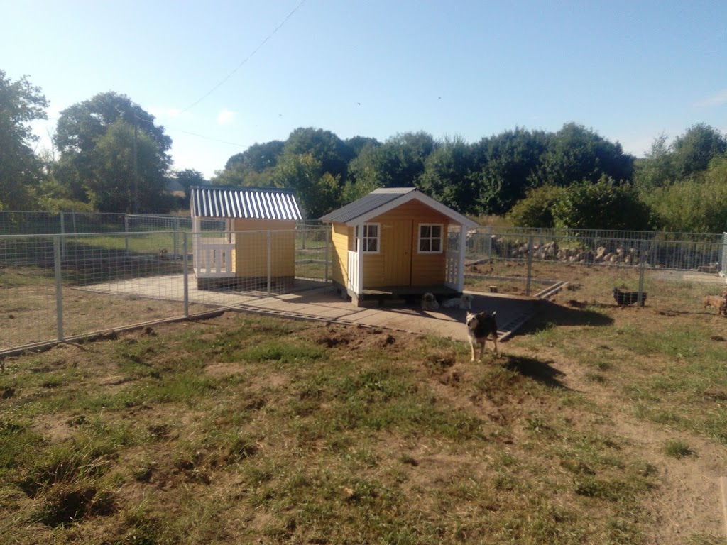 faraboda-hundpensionat-2.jpeg