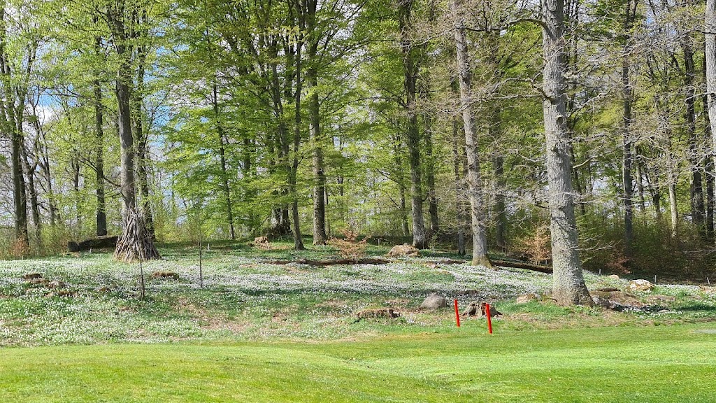 hasslegardens-golfklubb-6.jpeg