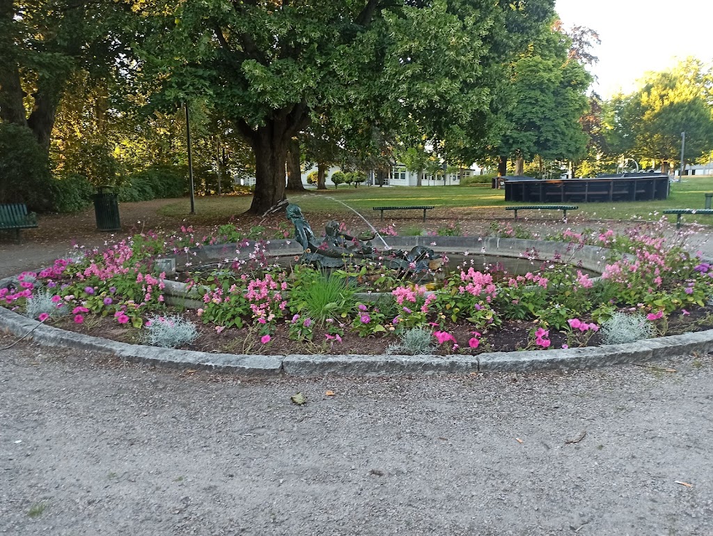 hassleholm-skatepark-3.jpeg