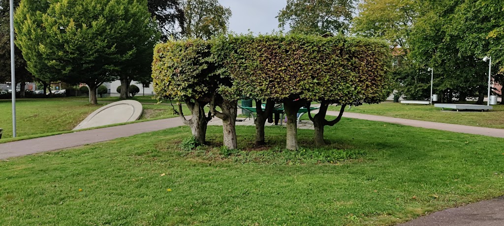 hassleholm-skatepark-8.jpeg