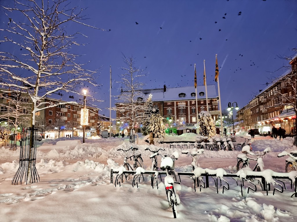 hassleholm-square-1.jpeg