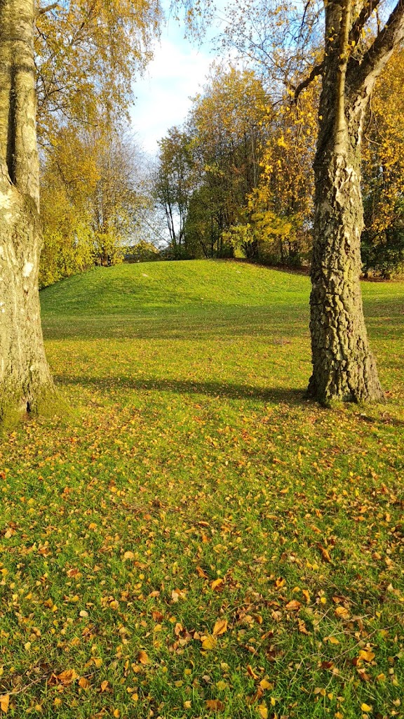 lekplats-bokalyckevagen-10.jpeg