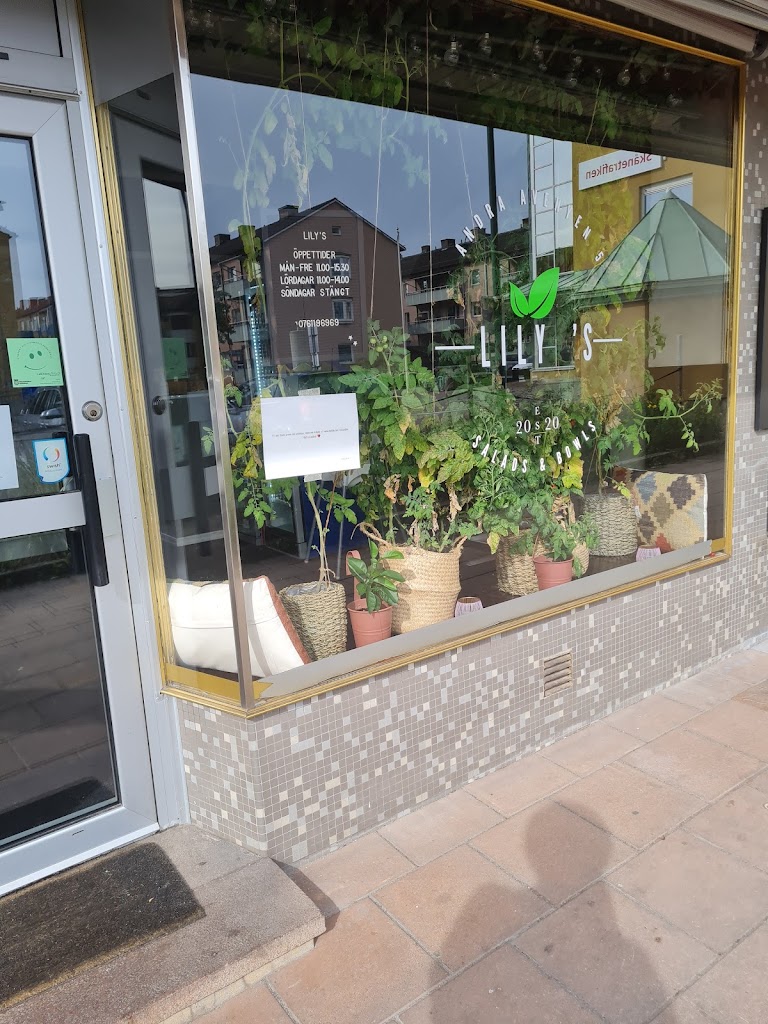 lilys-salads-bowls-8.jpeg