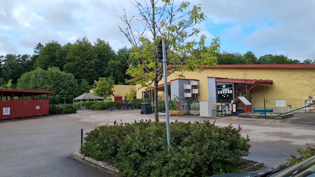 naturforskolan-stralsund-0.jpeg