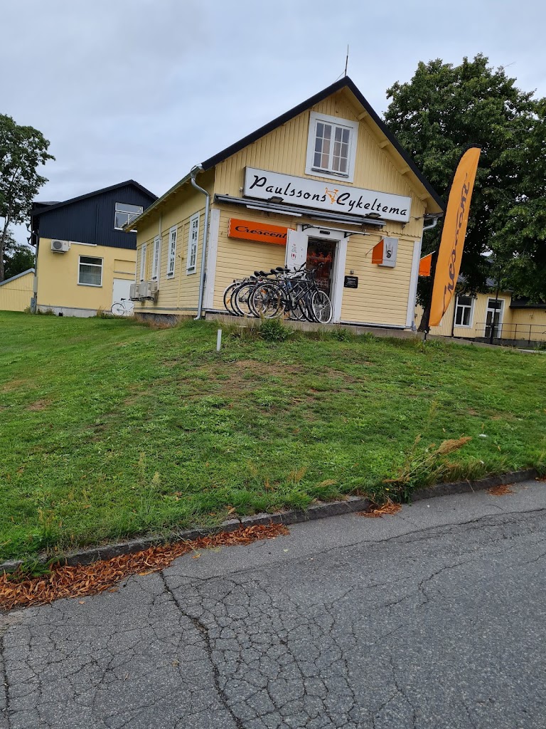 paulssons-cykeltema-ab-5.jpeg