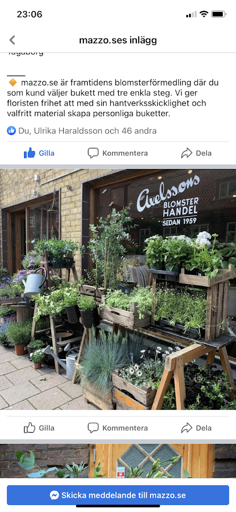 axelssons-blomsterhandel-11.jpeg
