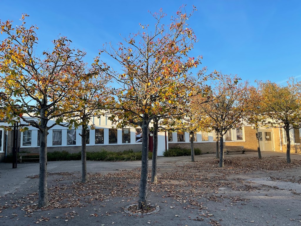 barslovs-skola-5.jpeg