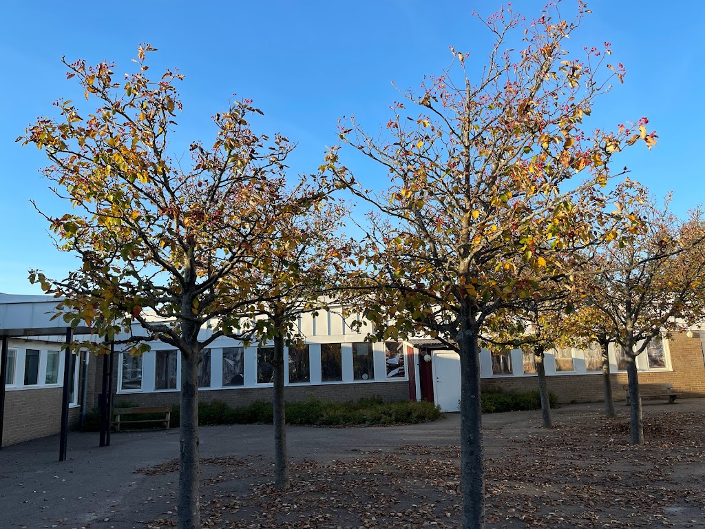 barslovs-skola-9.jpeg