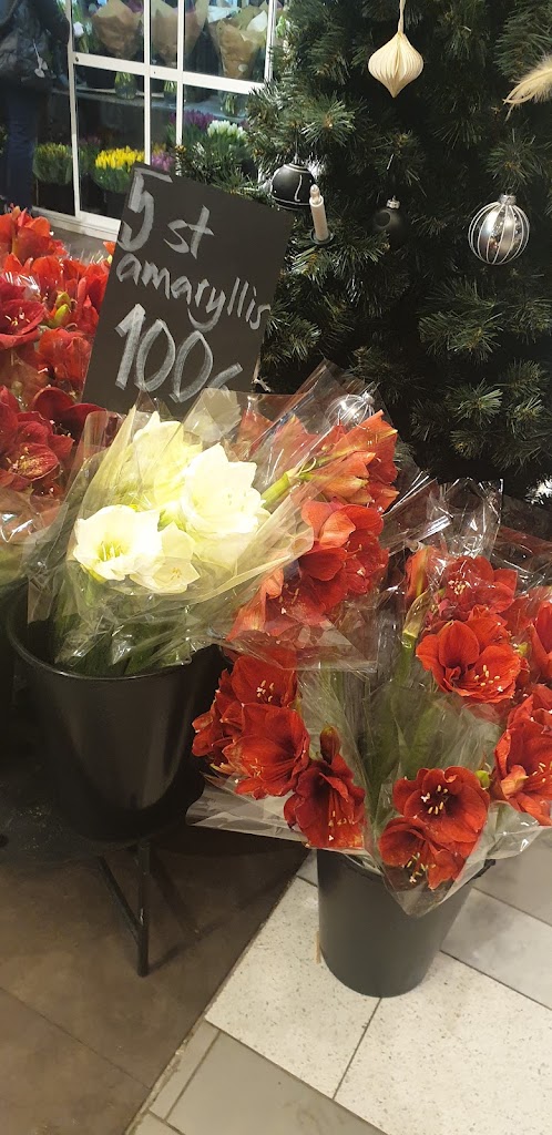 blommor-fran-oss-kullagatan-10.jpeg