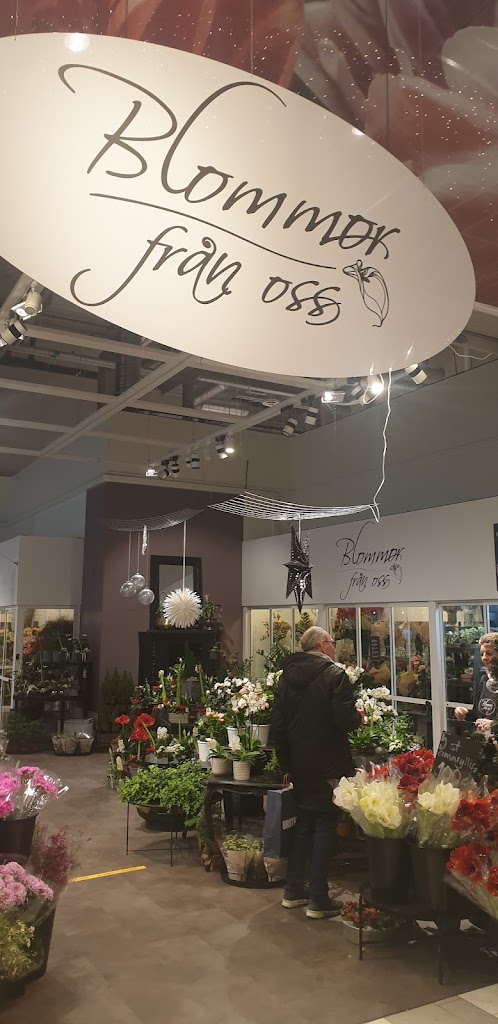 blommor-fran-oss-kullagatan-11.jpeg