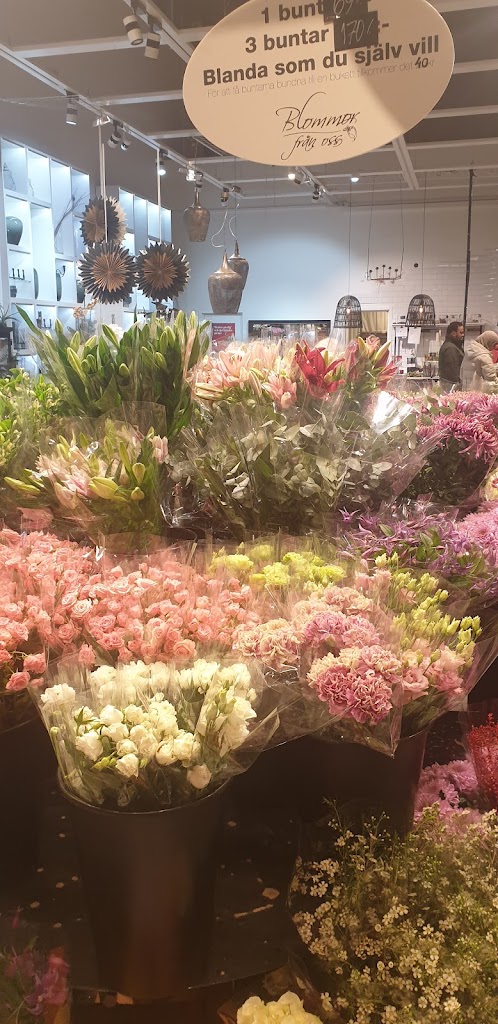 blommor-fran-oss-kullagatan-7.jpeg