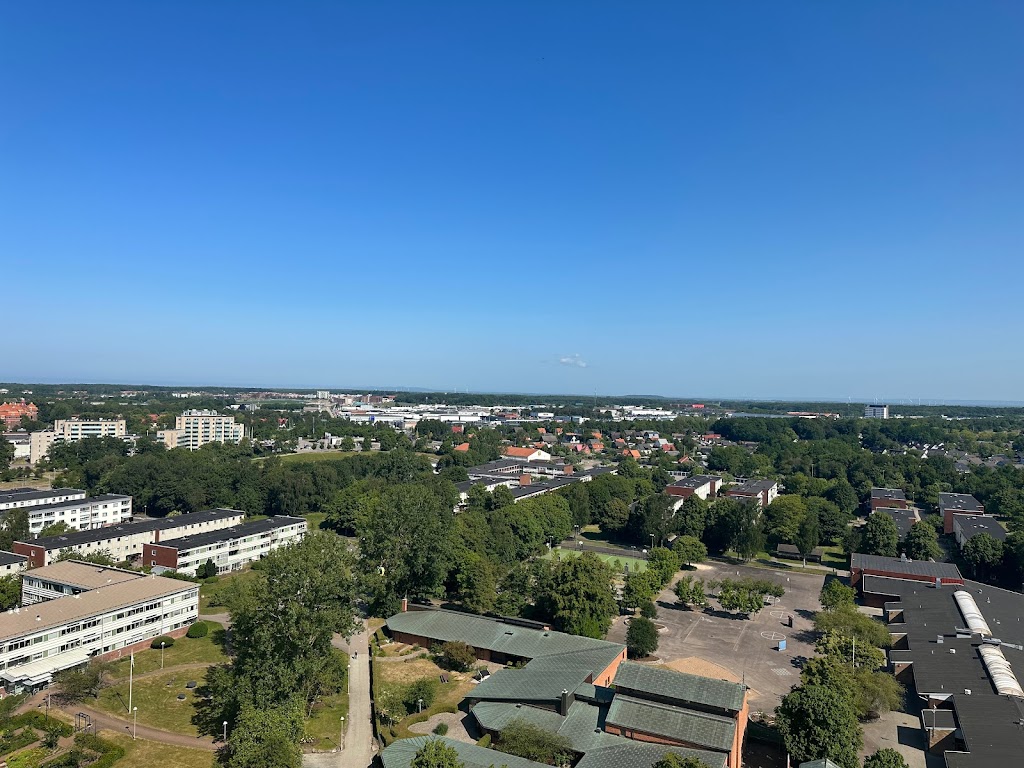 drottninghogs-bibliotek-5.jpeg