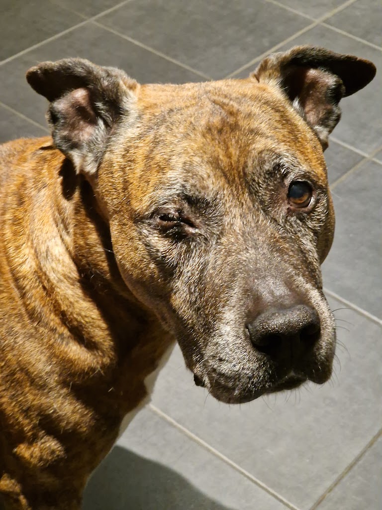 helsingborg-veterinary-clinic-5.jpeg