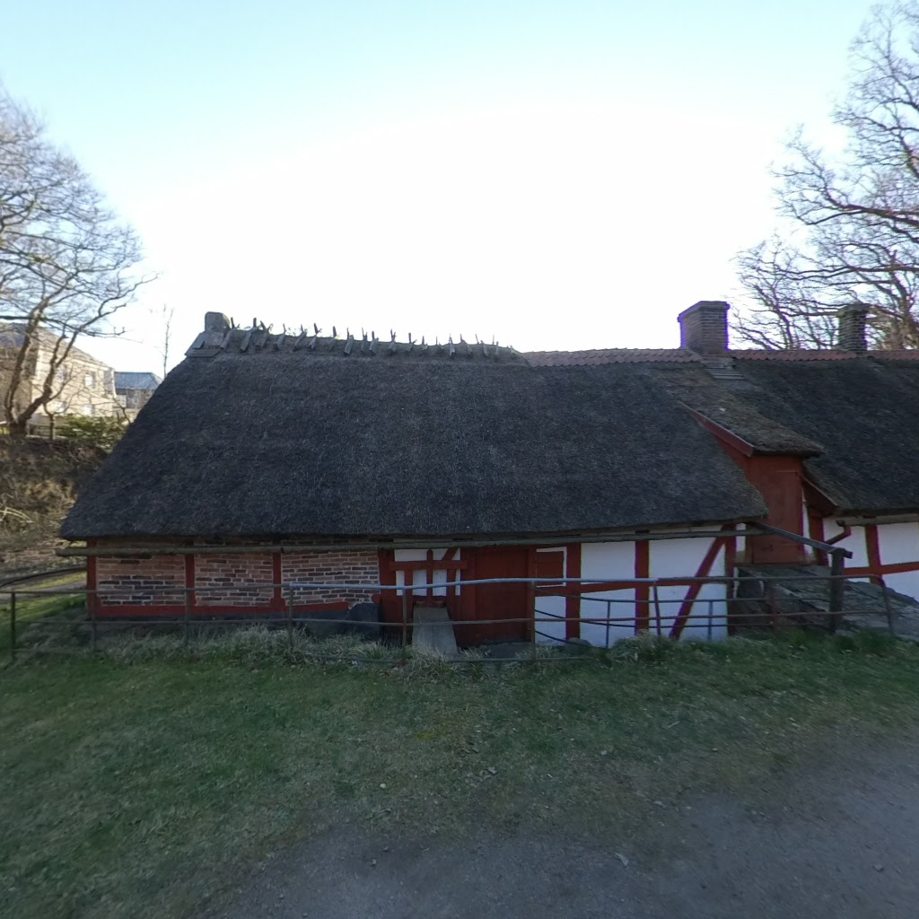 hsok-helsingborgs-orienteringsklubb-4.jpeg