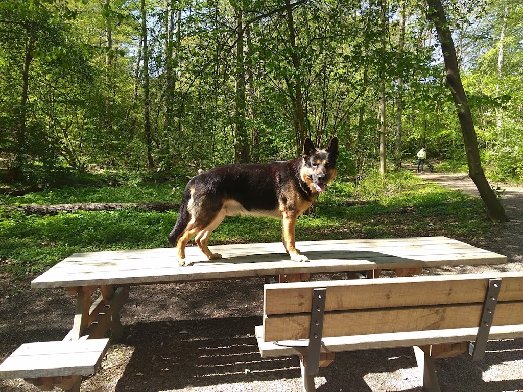jordbodalens-bridge-4.jpeg