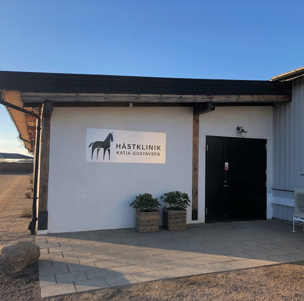 katja-gustavsen-veterinar-ab-1.jpeg