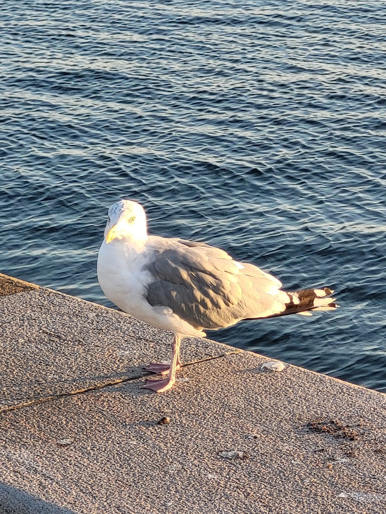 maritime-goddess-9.jpeg