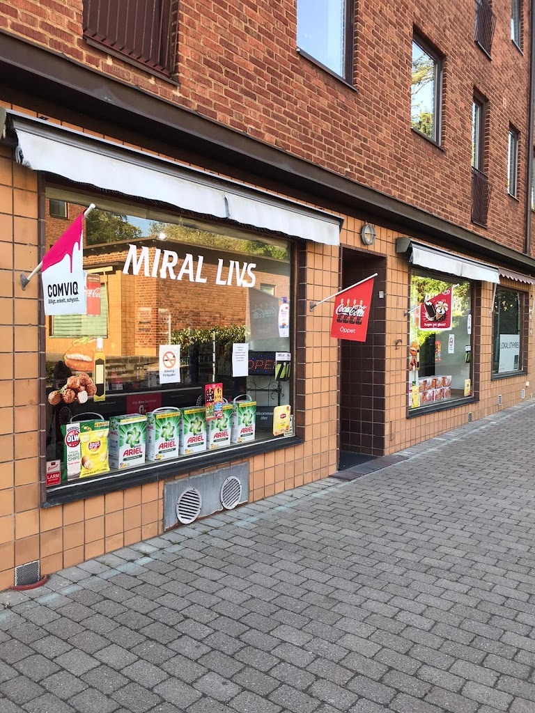 miral-livs-13.jpeg