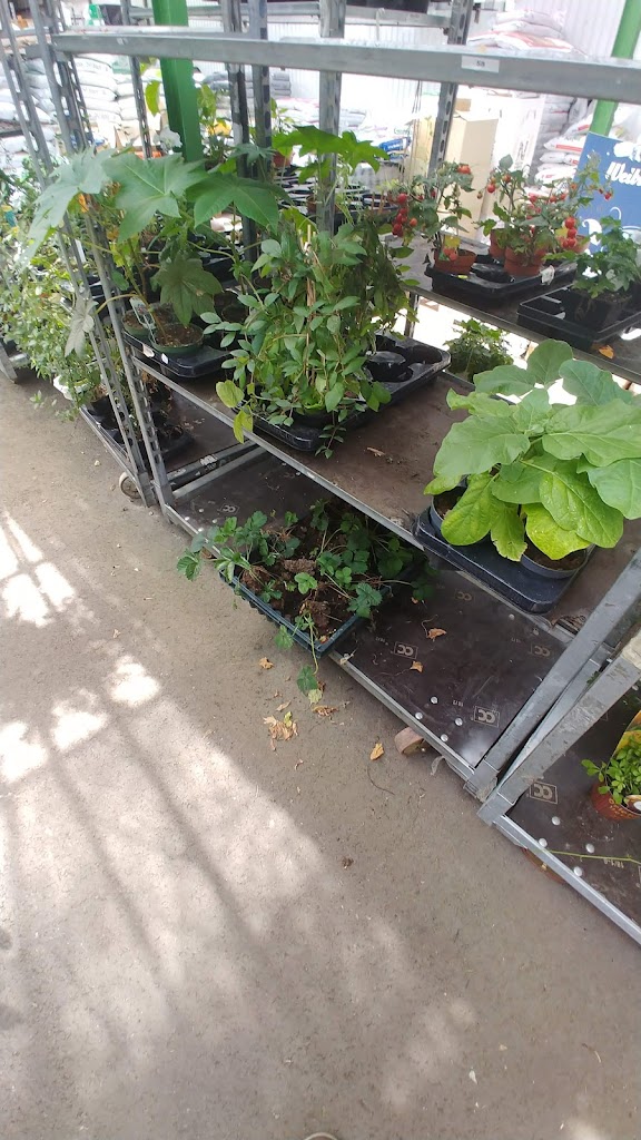 nya-ljusekulla-handelstradgard-18.jpeg