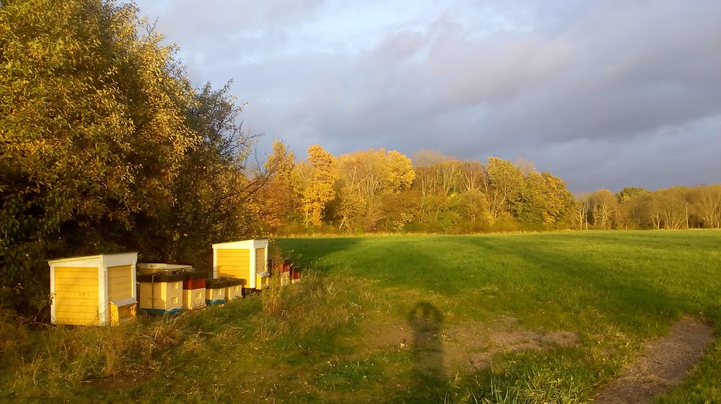 olsgarden-8.jpeg