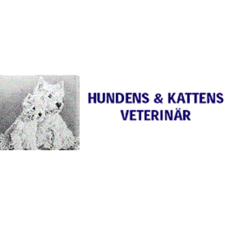 the-dog-and-the-cat-veterinarian-7.jpeg